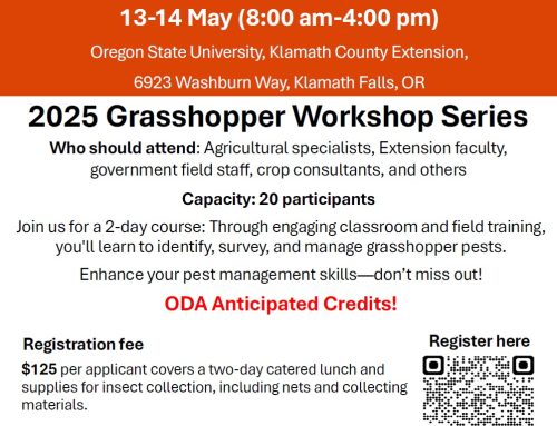 Grasshopper Workshop 13-14 May 2025