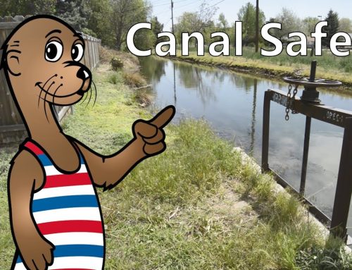 Canal Safety – STAY OUT & STAY ALIVE