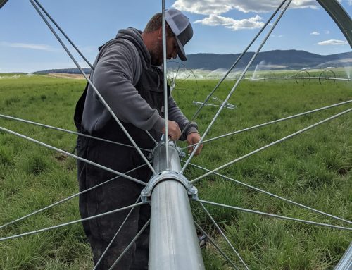 Roots of Resilience: One Soldier’s Fight for the Soul of the Klamath Basin