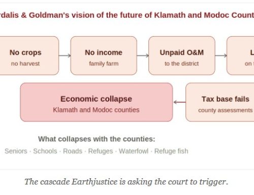 This Could Be the End of the Klamath Project Under the Trump Administration — At the Hand of Earthjustice and Amy Cordalis